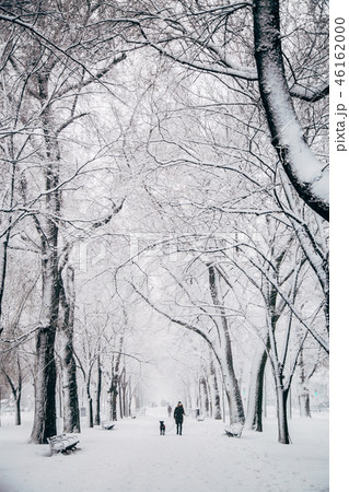 ボストン 冬 冬景色 雪の写真素材