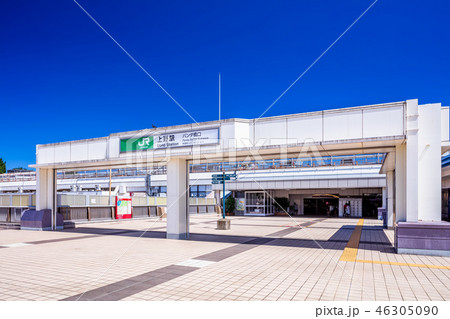 パンダ橋口の写真素材