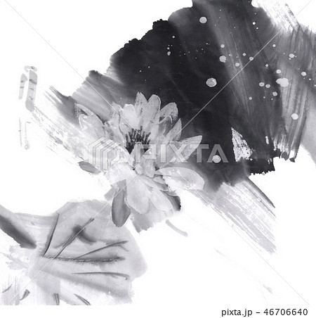 スイレン 水墨画 花 睡蓮のイラスト素材 - PIXTA