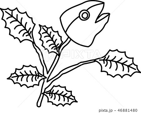 魚 鰯 節分 いわしのイラスト素材 Pixta