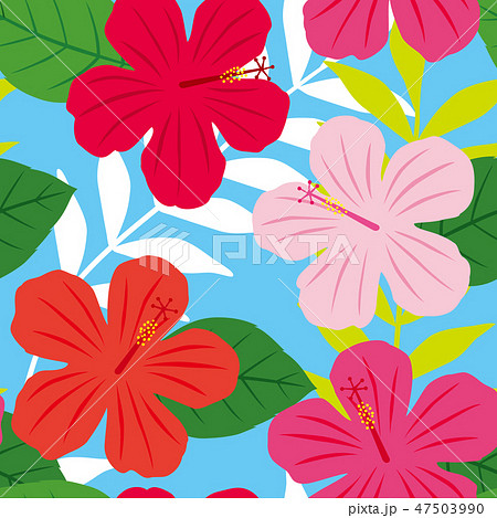 花 花柄 ハイビスカス 模様のイラスト素材