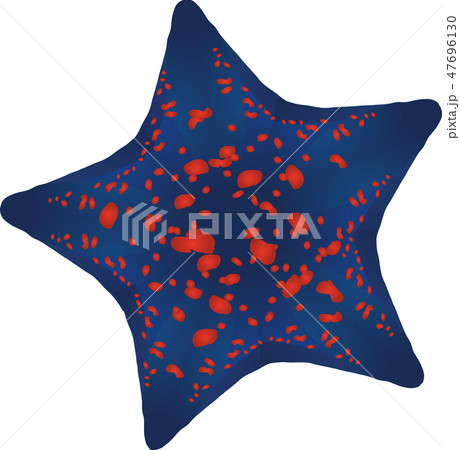 いとまきひとでのイラスト素材