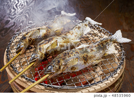 【美濃焼】串匠~金結昌(くじゃく)~　串物を炭焼き　七輪/魚/肉/バーベキュー 美濃焼】串匠~金結昌(くじゃく)~ 串物を炭焼き 七輪/魚/肉