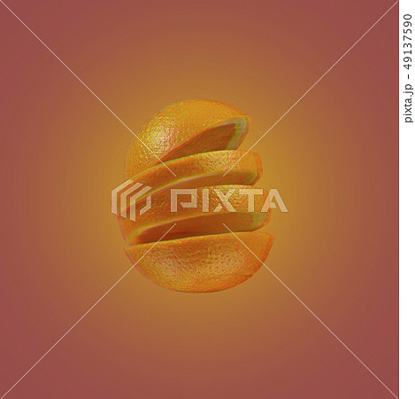 かわいい 昆虫 丸い 体のイラスト素材