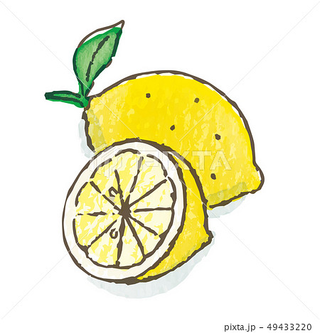 レモン かわいい 白バック イラスト フルーツのイラスト素材