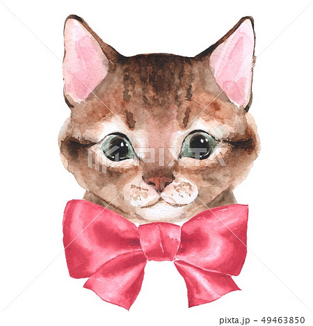 イラスト 可愛い かわいい 猫のイラスト素材