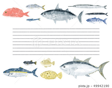 便箋 フレーム 魚 海水魚のイラスト素材