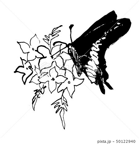 蝶 チョウ アゲハ 黒のイラスト素材