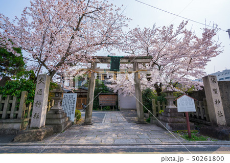 須賀神社の写真素材 - PIXTA