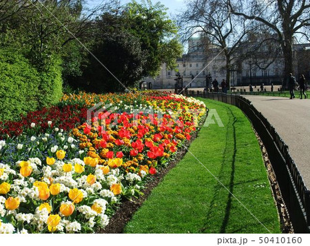 イギリス ヨーロッパ 花壇 海外の写真素材