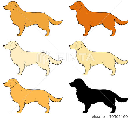 犬 ゴールデンレトリバー シルエット レトリバーのイラスト素材 - PIXTA