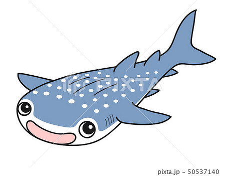 ジンベエザメ サメ 魚 かわいいのイラスト素材 Pixta