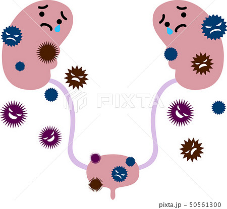 腎臓 かわいいのイラスト素材
