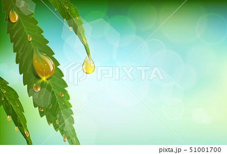 Green Cannabis Leaf Drug Marijuana Herb Backgroundのイラスト素材