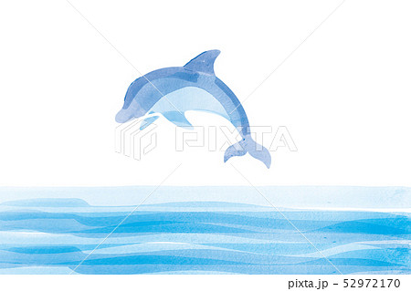 イルカ 動物 ジャンプ 水彩のイラスト素材
