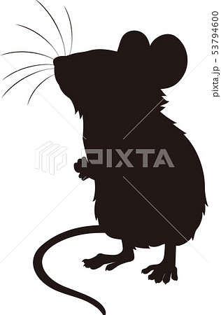 マウス実験のイラスト素材