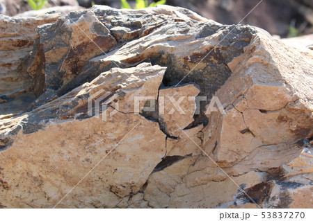 岩肌 テクスチャの写真素材
