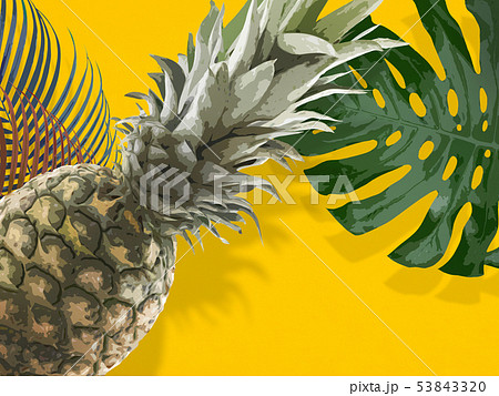 パイナップルのイラスト素材集 ピクスタ