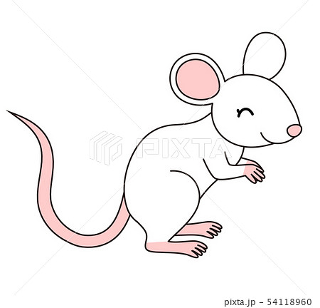 マウス実験のイラスト素材