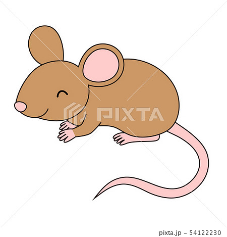 マウス 実験動物 ネズミ Balbのイラスト素材