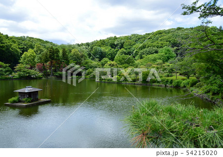 亀小屋の写真素材