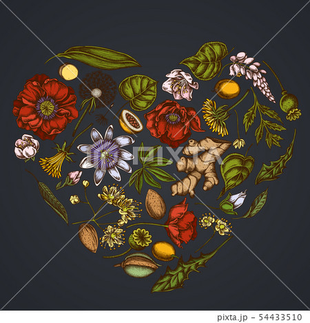 花 ジンジャー 植物 生姜の写真素材