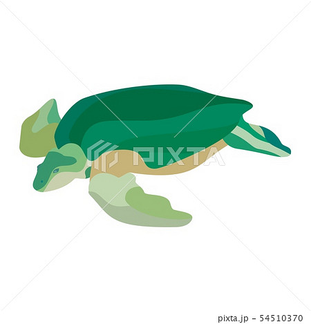 ベクター 亀 シルエット かめのイラスト素材