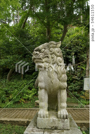 狛犬 こまいぬ こま犬 高麗犬の写真素材 - PIXTA