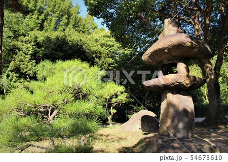鞍馬石灯籠 花の写真素材 - PIXTA