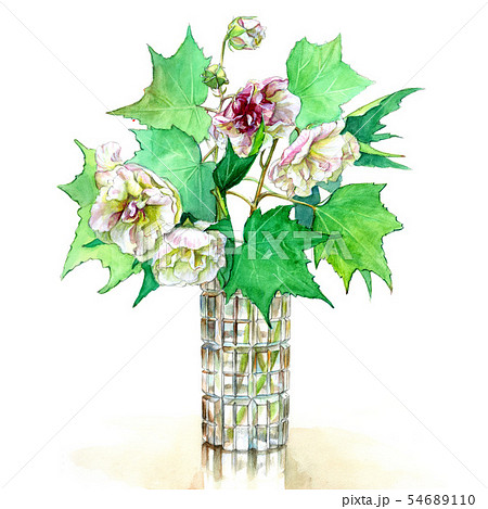 酔芙蓉　パステル画 酔芙蓉」 by TOSHIRO｜Artmeter｜暮らしを彩るアートが、きっと