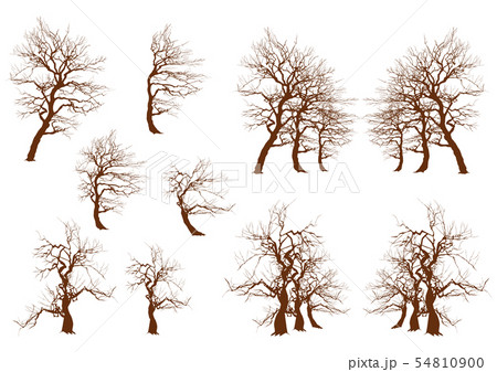 樹木 木 枯れ木 寂しいのイラスト素材