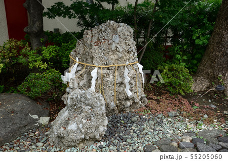 さざれ石 細石 さざれいし 石灰質角礫岩の写真素材 - PIXTA