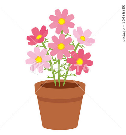 植物 花 鉢植え 植木鉢のイラスト素材