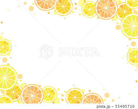 シトラスのイラスト素材
