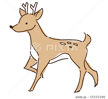 鹿 動物 哺乳類 エゾシカのイラスト素材