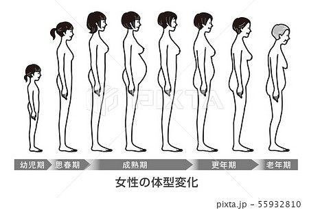 体型変化のイラスト素材