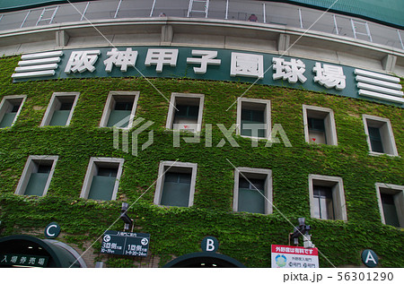 スコアボード 野球場 甲子園 阪神甲子園球場の写真素材