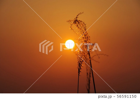 切ない 綺麗 晴れの写真素材