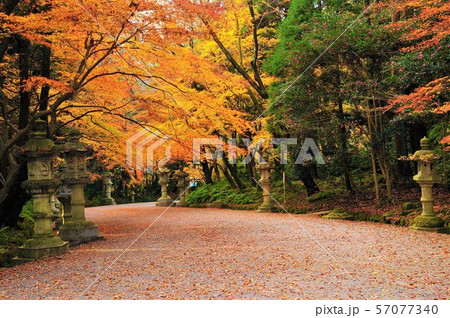 香取神宮 神社 紅葉 香取市の写真素材