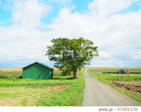 田舎道 畑 小屋 砂利道の写真素材 Pixta