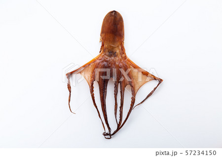 干しタコ 干物 タコ 保存食の写真素材