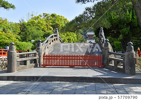 鶴岡八幡宮 八幡宮 太鼓橋 橋の写真素材