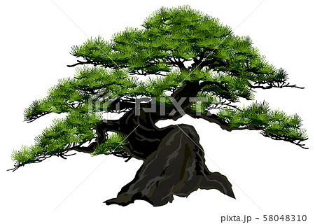 PNG image of green forest, watercolor tree illustration with woodland pine  trees and mountain landscape on transparent background, Generative AI Stock  Illustration
