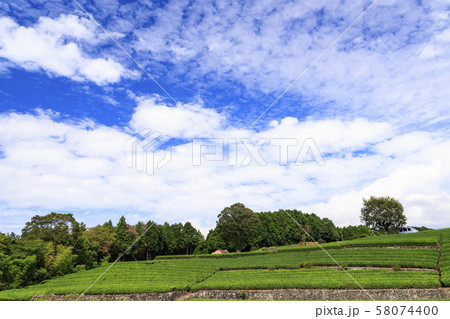 大渕笹場の写真素材