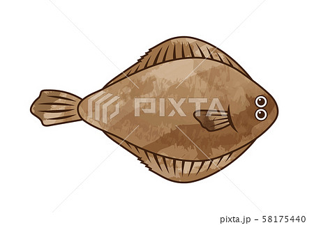 カレイ ヒラメのイラスト素材集 ピクスタ