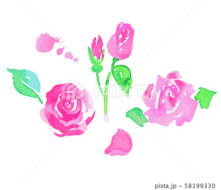バラ 薔薇 花 蕾のイラスト素材 Pixta