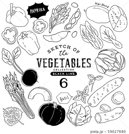 冬瓜のイラスト素材