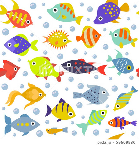 魚 キャラクター グッピー 熱帯魚のイラスト素材