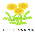たんぽぽの根のイラスト素材 たんぽぽの根のイラスト素材