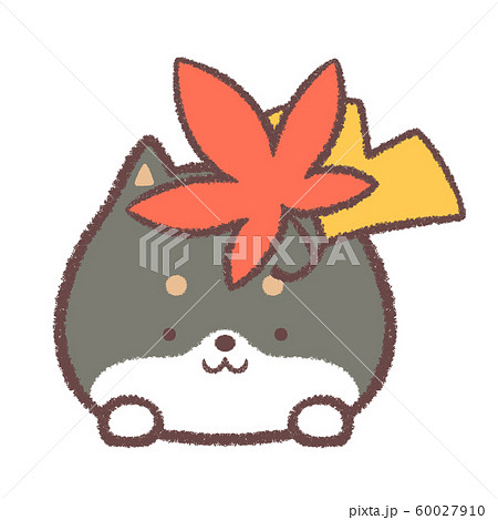 紅葉 犬 柴犬 秋のイラスト素材 - PIXTA